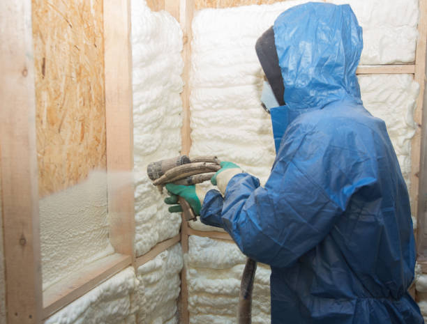 Best Insulation for New Construction  in Groves, TX